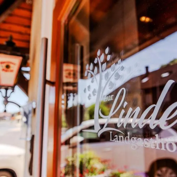Landgasthof zur Linde，位于Heimbuchenthal的酒店