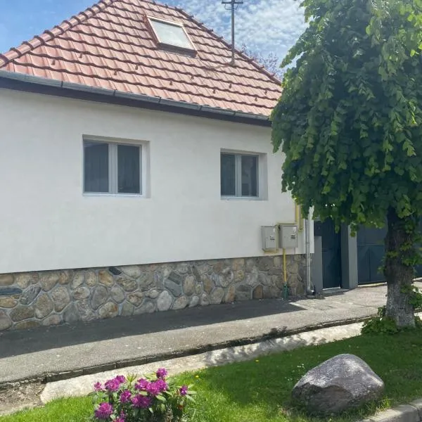 Casa Tei，位于Turnişor的酒店