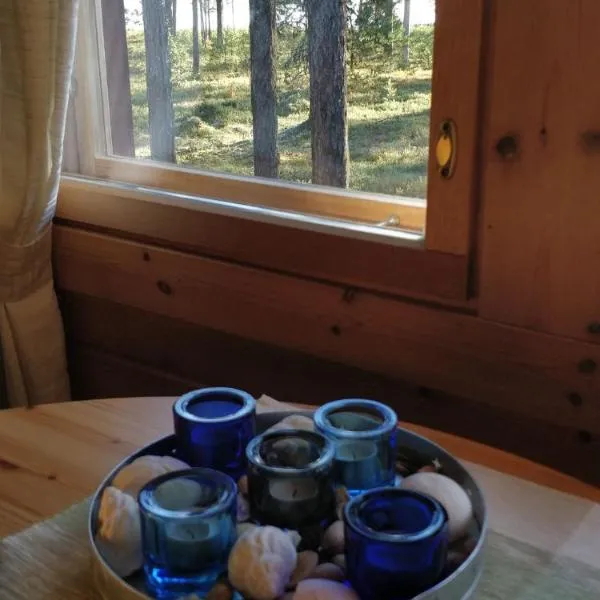 Cottage on Lake Jeris，位于穆奥尼奥的酒店