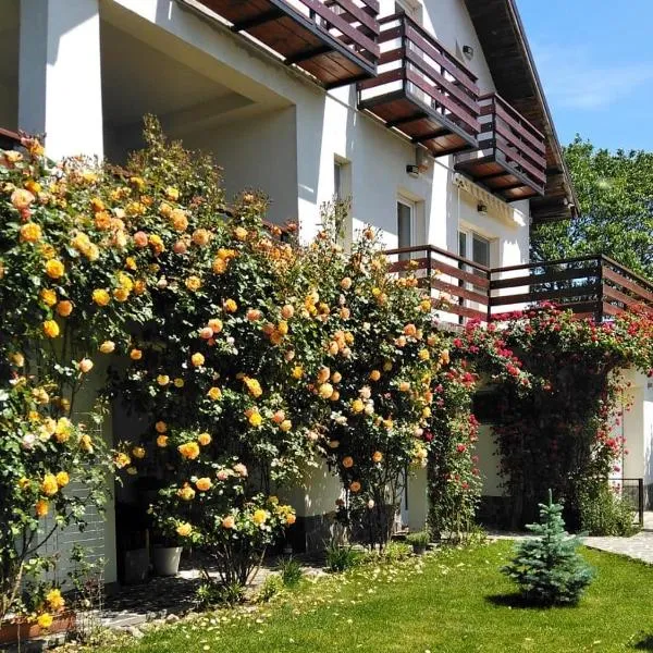 Vila Carpatina，位于布雷亚扎的酒店