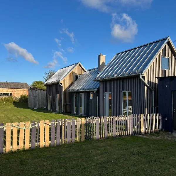 Svītrainās mājas，位于帕维洛斯塔的酒店