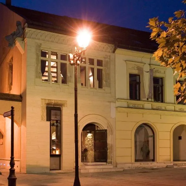 迪亚芬酒店，位于Săcălăşeni的酒店