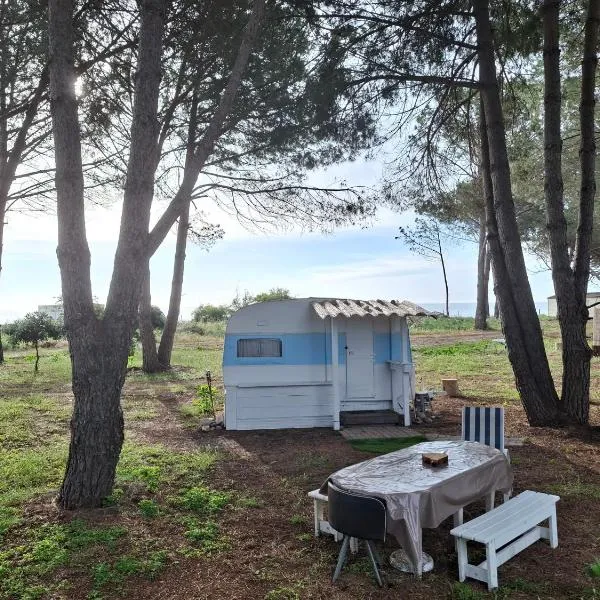 Caravane janis on the beach，位于卢恰纳的酒店