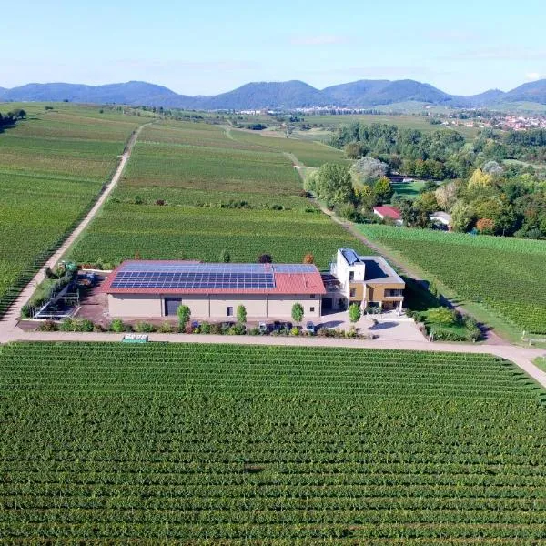 Vögelis WeinNest，位于朗道因德普法尔茨的酒店