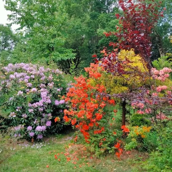 Gîte de l'Ermitage en Brocéliande 2 à 4 personnes，位于莫龙的酒店