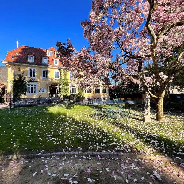 Hotel Restaurant Du Parc，位于坦恩的酒店