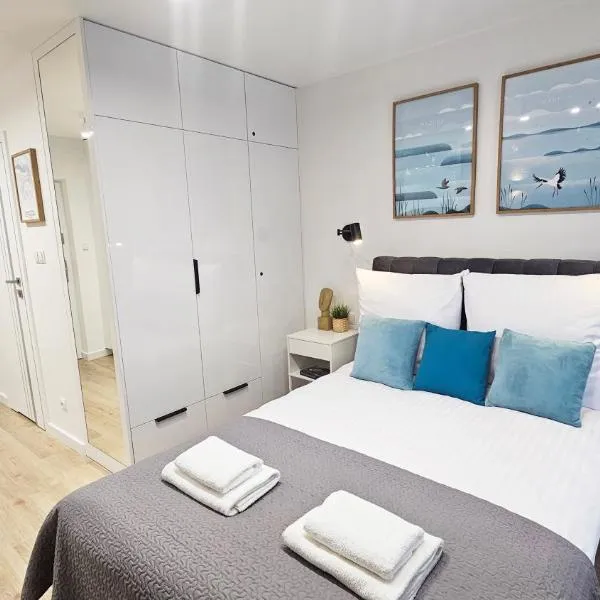 Mini Apartament Lipperta，位于什奇特诺的酒店