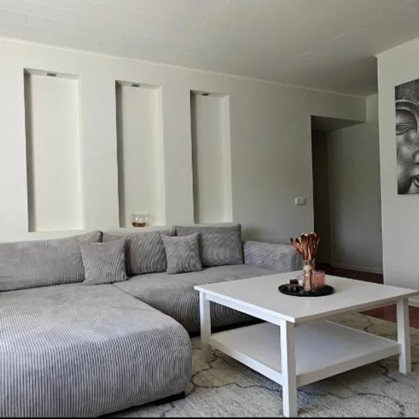 Mooni Apartment，位于库雷萨雷的酒店