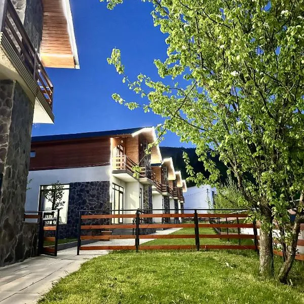 Villa Mtashi，位于巴库里阿尼的酒店