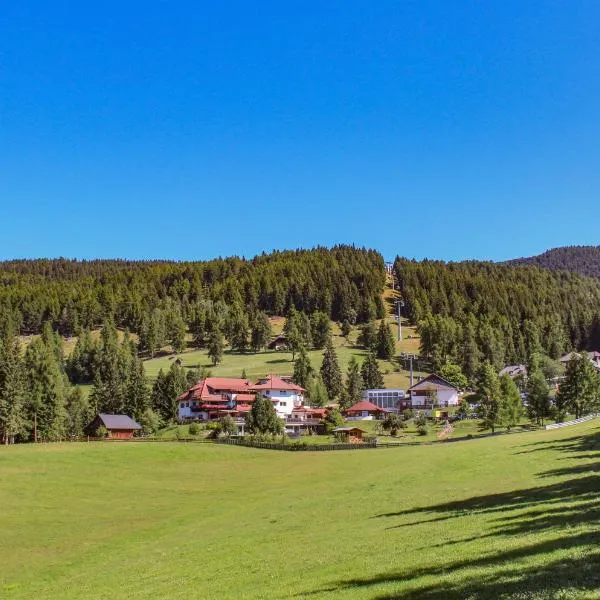 Berghotel zum Zirm，位于科拉尔博的酒店