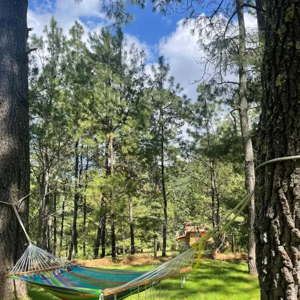 Cabaña Amaia en Tapalpa Jalisco，位于塔帕尔帕的酒店