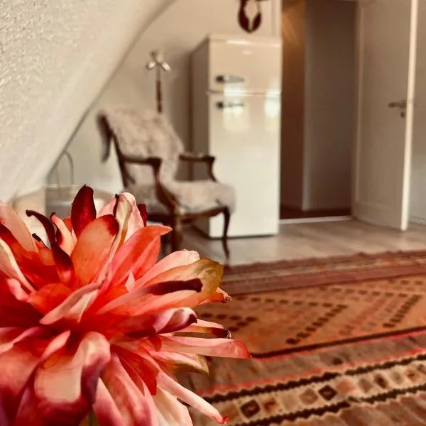 Charming rooftop apartment in Uhre，位于布兰讷的酒店