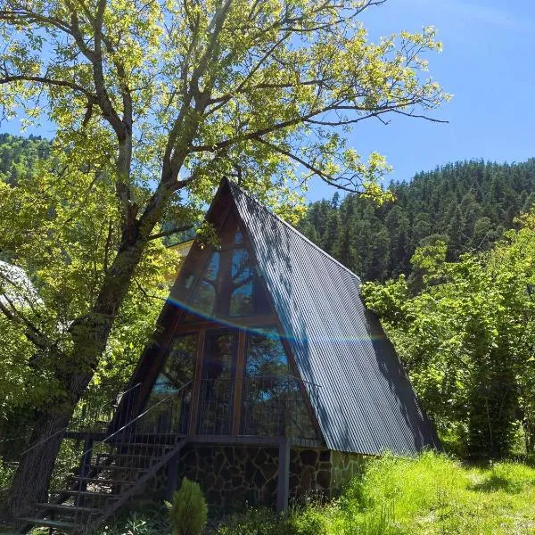 Wonderwood Borjomi Cottage，位于博尔若米的酒店