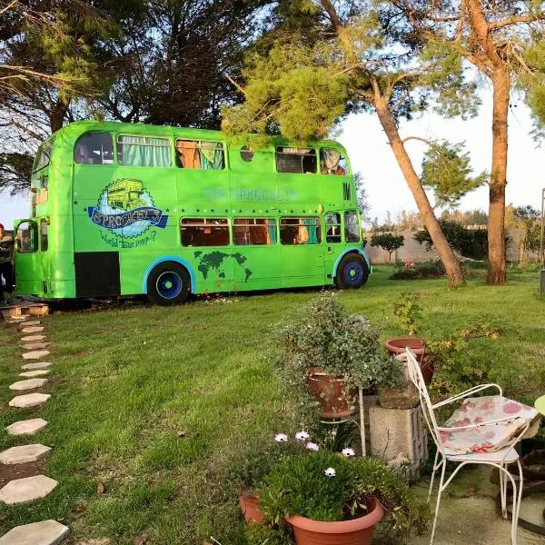 Sprocketlandia，位于夫莱戈勒的酒店