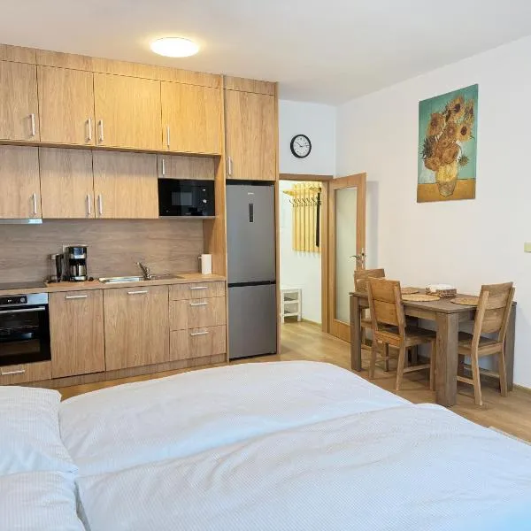 Riverside Apartment Praha，位于布拉格的酒店