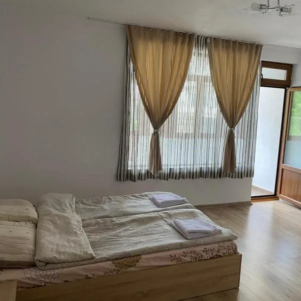 Апартамент за гости，位于代温的酒店
