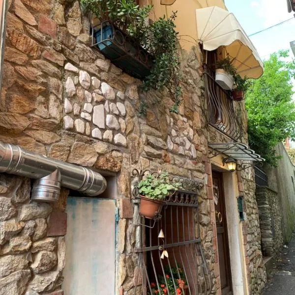 Vicolo Castellaccio，位于马萨的酒店
