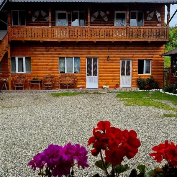 Casa Pintea de Sub Coastă，位于Breb的酒店