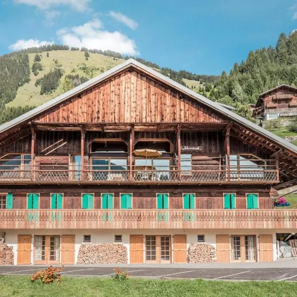 Appartement moderne à Châtel 60 m² avec terrasse privée，位于沙泰勒的酒店