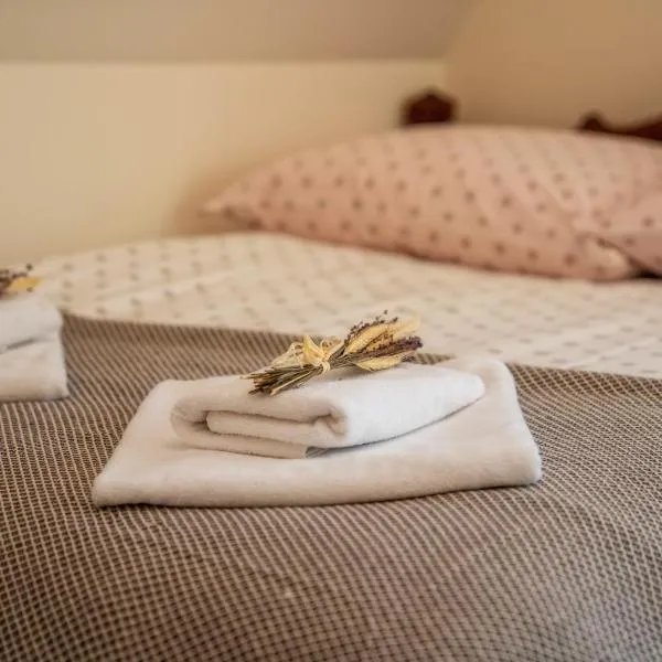 Wystrugane Apartamenty，位于Białka Tatrzanska的酒店