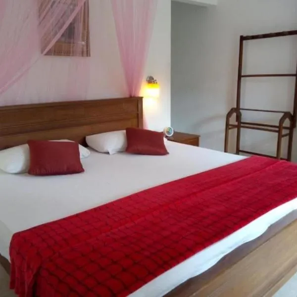 Blue sky Guest House And Restaurant，位于纳拉坦尼亚的酒店