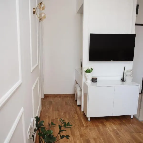 Apartman N Pale，位于帕莱的酒店