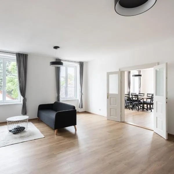 Vacov Apartment，位于Vacov的酒店