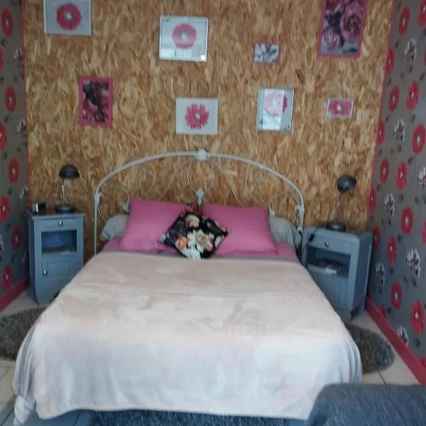 Chambre agréable au fond du jardin，位于Sancoins的酒店