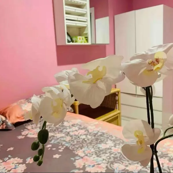 Nice room less pay near Port Adelaide，位于Rosewater的酒店