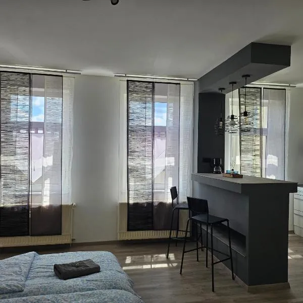 Ganze Ferienwohnung - Apartment to rent，位于霍亨斯泰因-埃尔恩斯塔尔的酒店