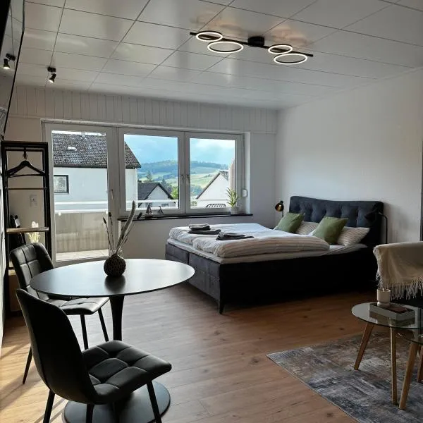 AM Diemelglück，位于Diemelsee的酒店