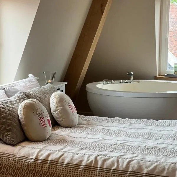 Luxury Spa with Sauna, Bath and Cinema Private，位于博德赫拉芬的酒店