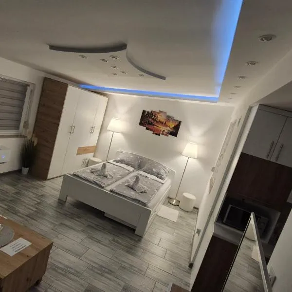 Apartmani Tiski Labud，位于Bečej的酒店