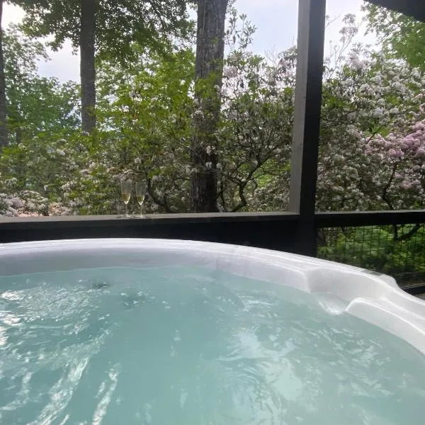 Amazing Mountain Views with Private Hot Tub!，位于海兰兹的酒店