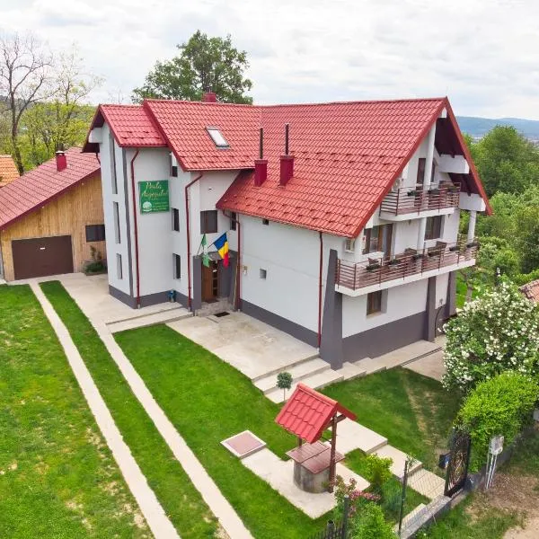Perla Argesului, Ciubar, Piscina, Lift, Gratar, Cabana, Pensiuni, Hotel Cazare Transfăgarasan Curtea de Arges，位于Albestii de Arges的酒店