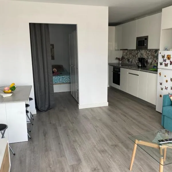 Lucy lux apartament，位于大加那利岛拉斯帕尔马斯的酒店