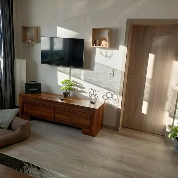 HARZ-PFOTE familien- und hundefreundliche Ferienwohnung，位于克劳斯塔尔采勒费尔德的酒店
