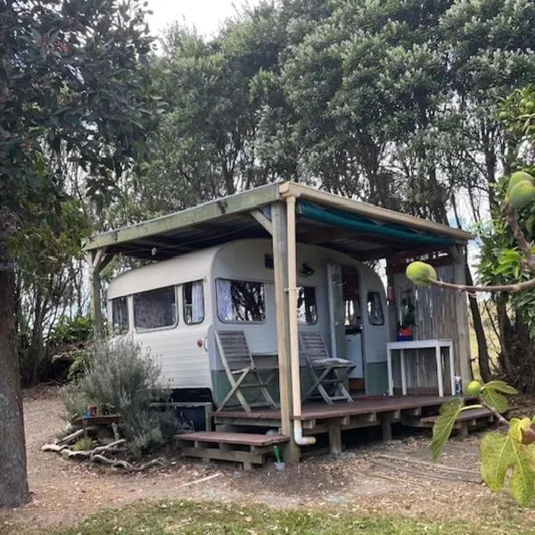 Caravan In The Orchard，位于芒奥努伊的酒店