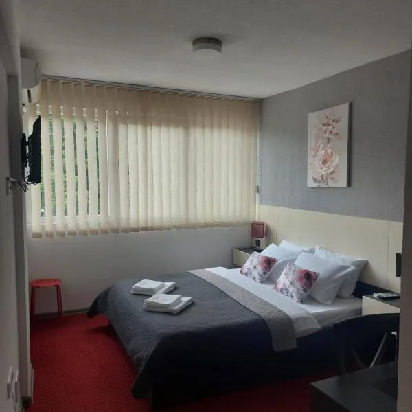 Rooms S&S Milicevic u strogom centru Aleksandrovca，位于Aleksandrovac的酒店