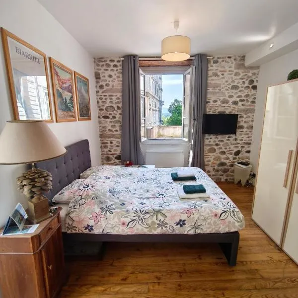 Studio RUBIS Quartier du Château，位于波城的酒店
