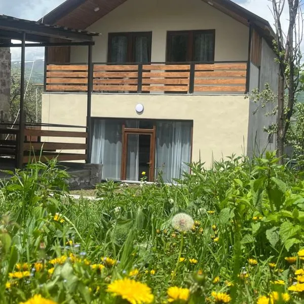 Eva Grand House Dilijan，位于迪利然的酒店