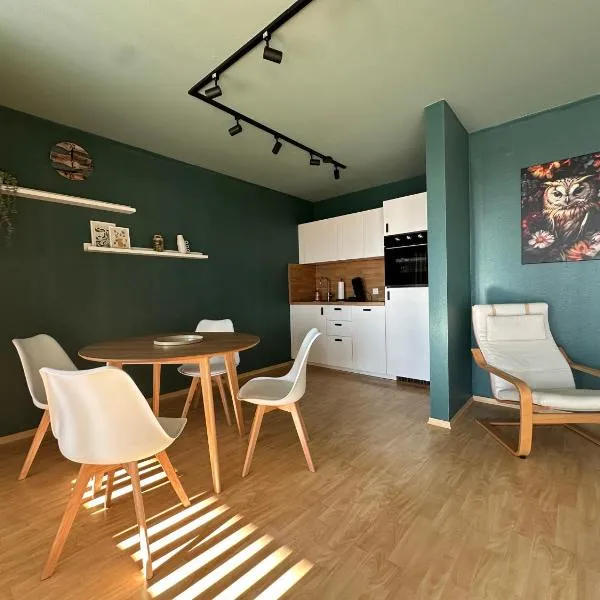 Ferienwohnung Stadtblick，位于莱茵河畔凯尔的酒店