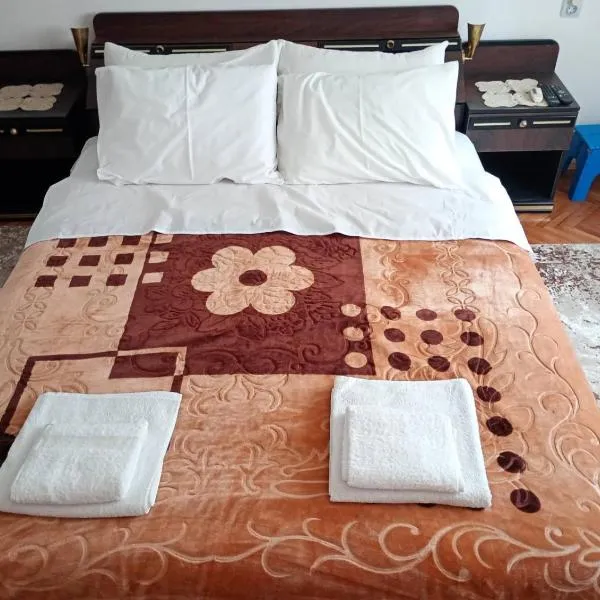 BoHan sobe Vladičin Han，位于弗拉迪钦汉的酒店