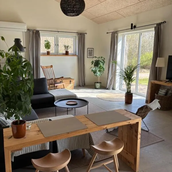 Country Home，位于Hejnsvig的酒店