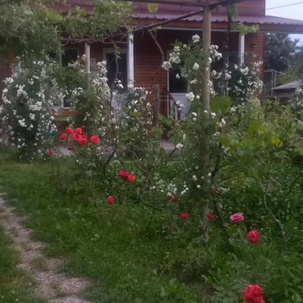 Cottage and Gigo Papa's Wine Cellar，位于克瓦雷利的酒店