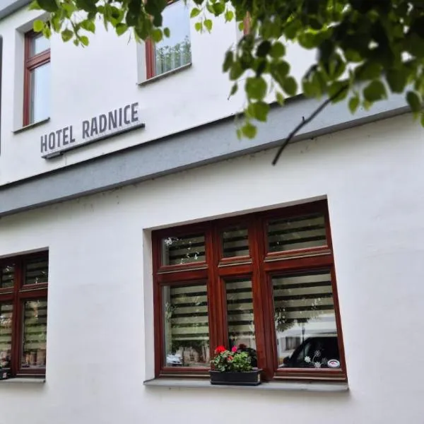 Hotel Radnice Dobrovice，位于Dobrovice的酒店