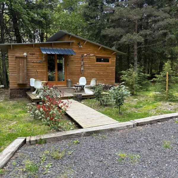 Chalet libellule Domaine de la Mamounette，位于Champclause的酒店