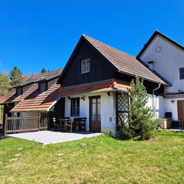 Appartement am See，位于利乔的酒店