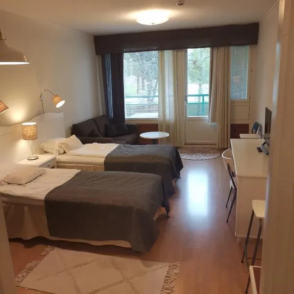 Yksiö kauniilla järvinäkymällä Ikaalisissa，位于伊卡利宁的酒店