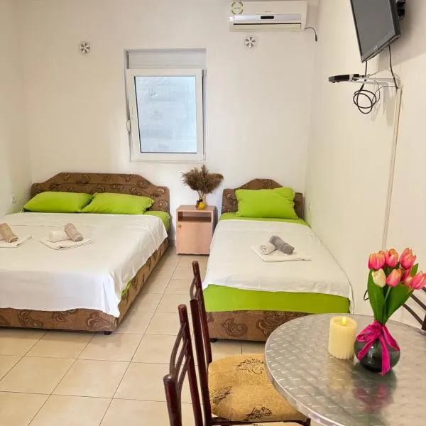 Apartmani Tošić，位于安吉的酒店